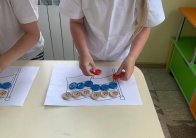img (6)